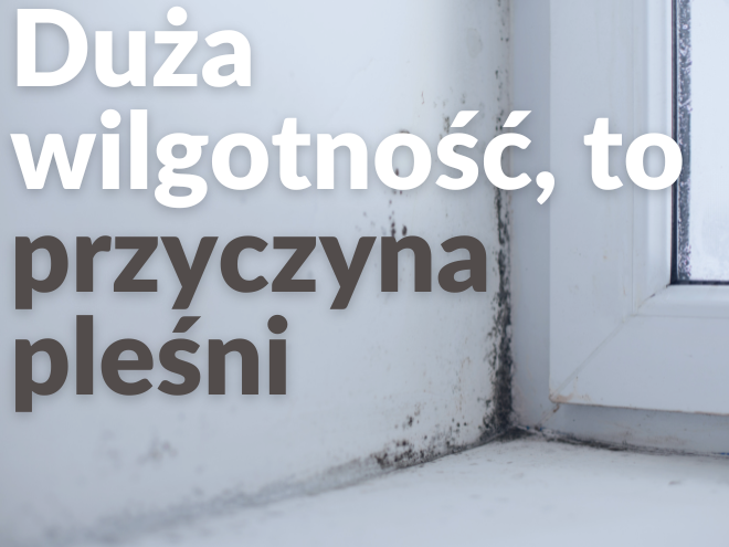 Pleśń wynika z nadmiernej wilgotności 
