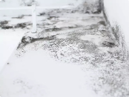 Wilgoć sprzyja powstawaniu pleśni w domu