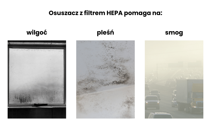 Wilgoć, pleśń i smog