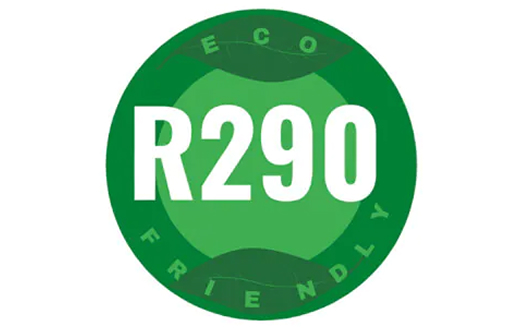 Czynnik R290 logo